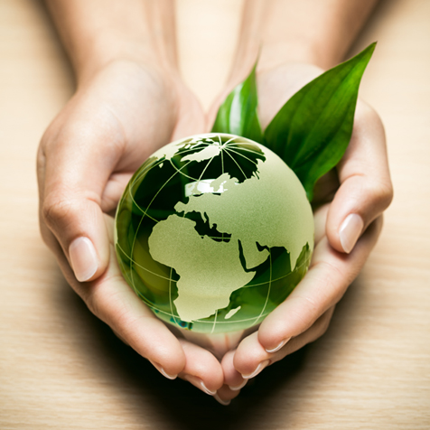 争做“零排放”企业，15vip太阳成科技加快构建“绿色生产企业”步伐    2022年8月5日